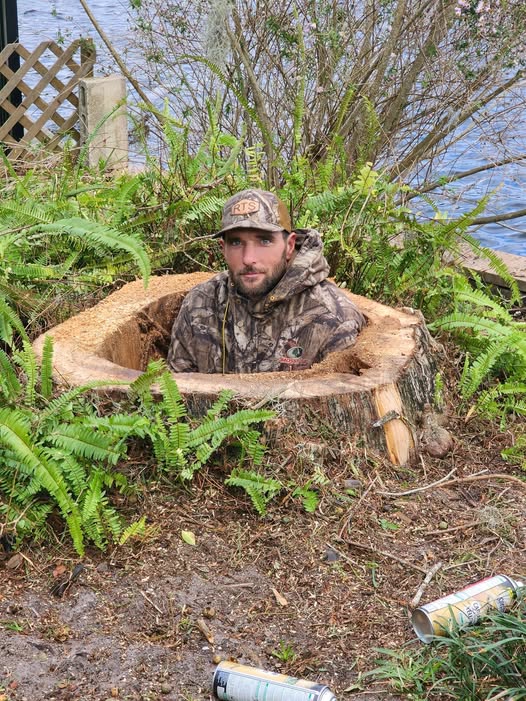 Massive stump removal job near the waterfront