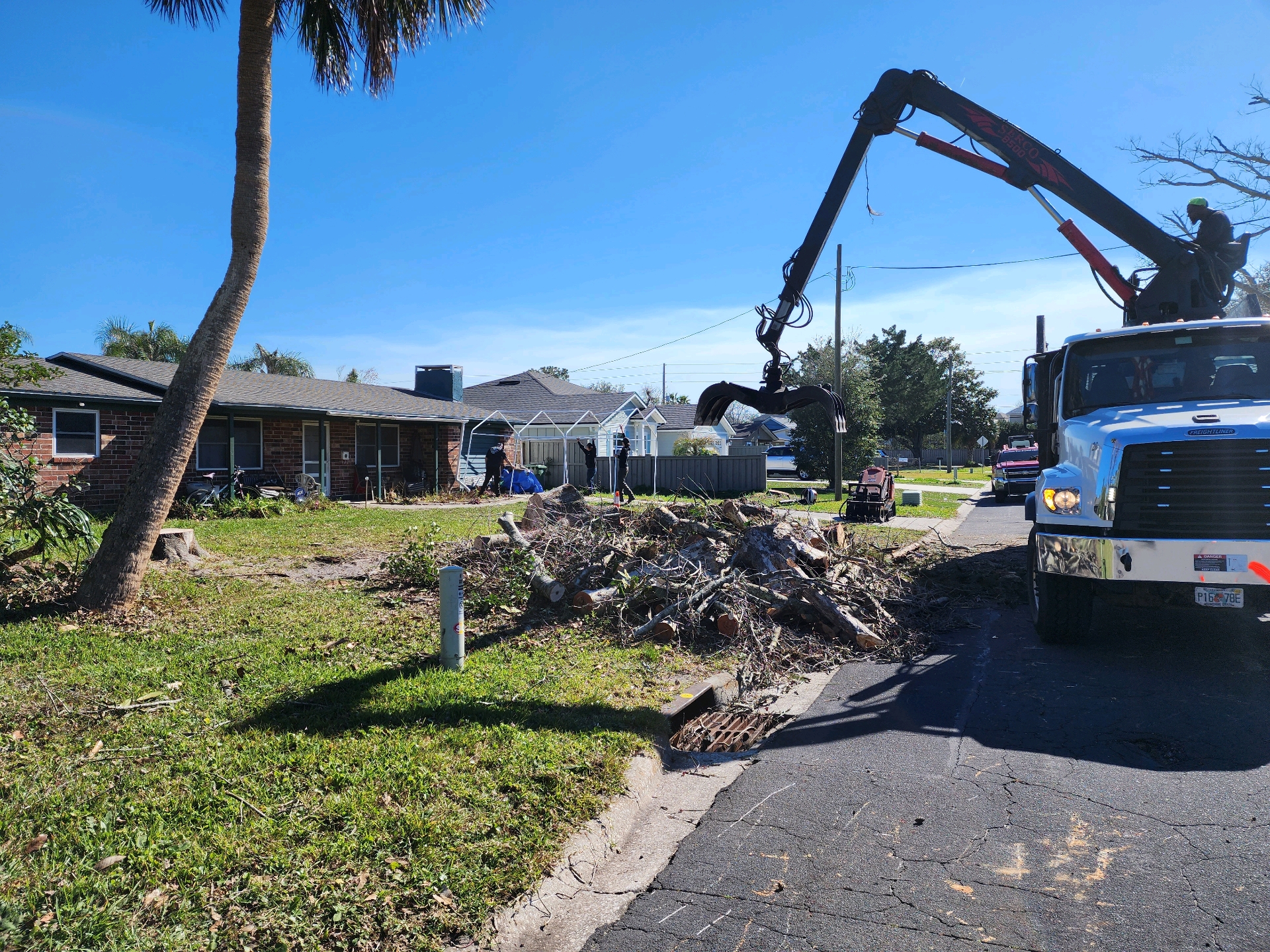 Grapple truck loading debris after a large tree removal