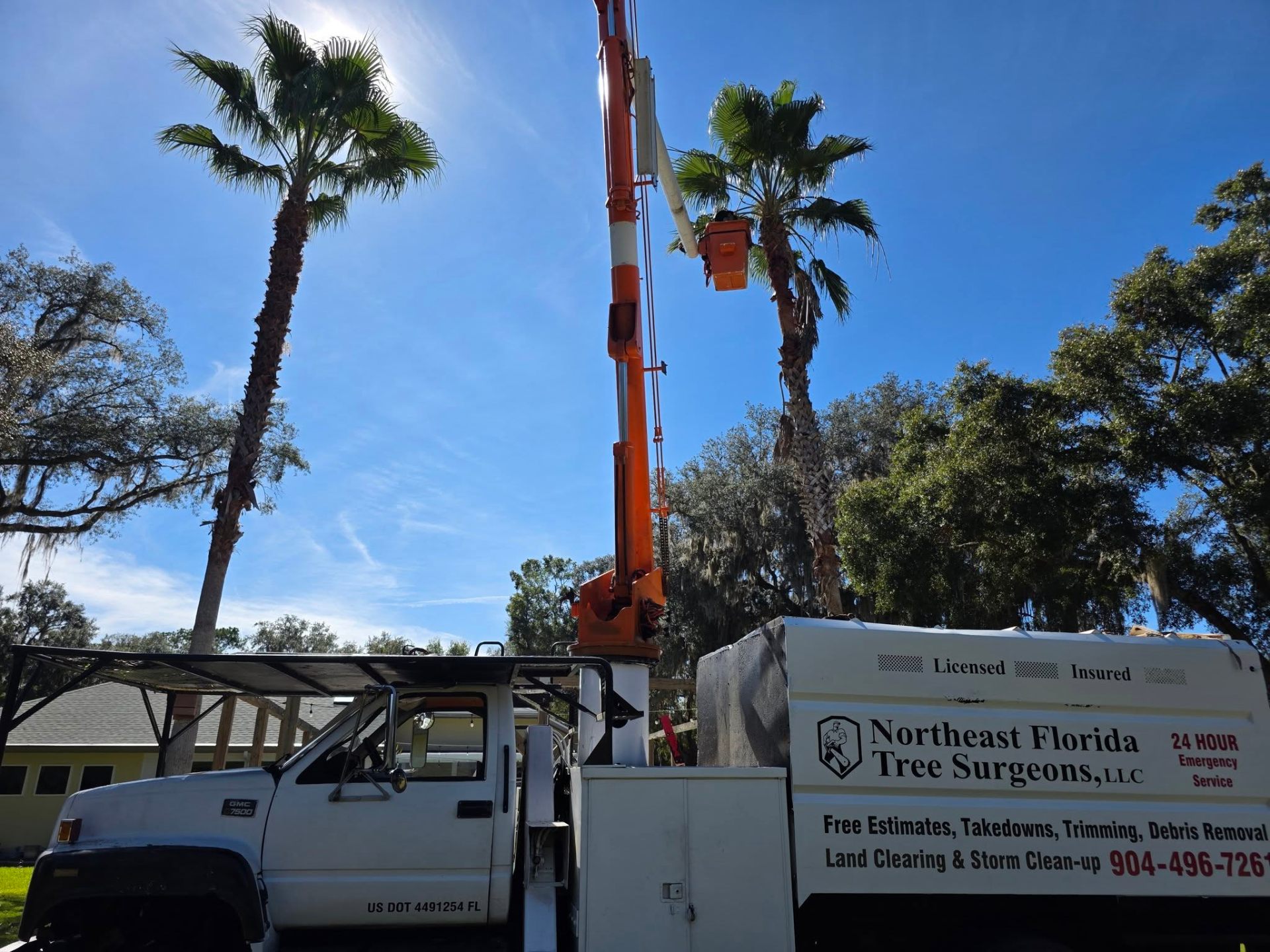 Northeast Florida Tree Surgeons bucket truck on site